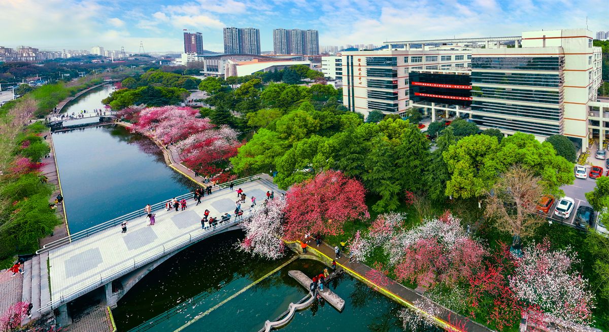 “趣享运动 携手迎新”三峡大学机关工会趣味运动会圆满落幕