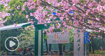 三峡大学校园风光